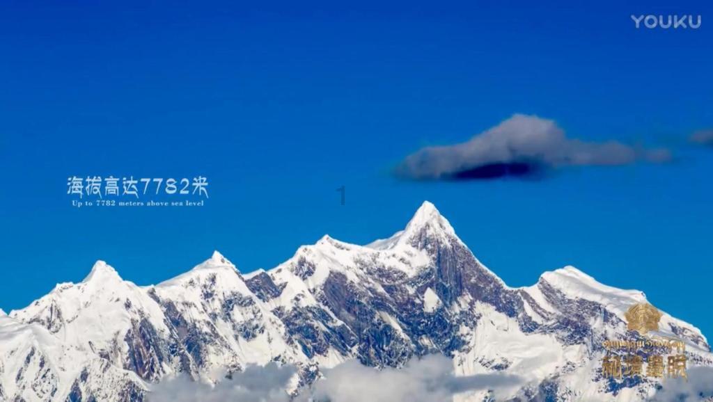 拯救受伤的男人